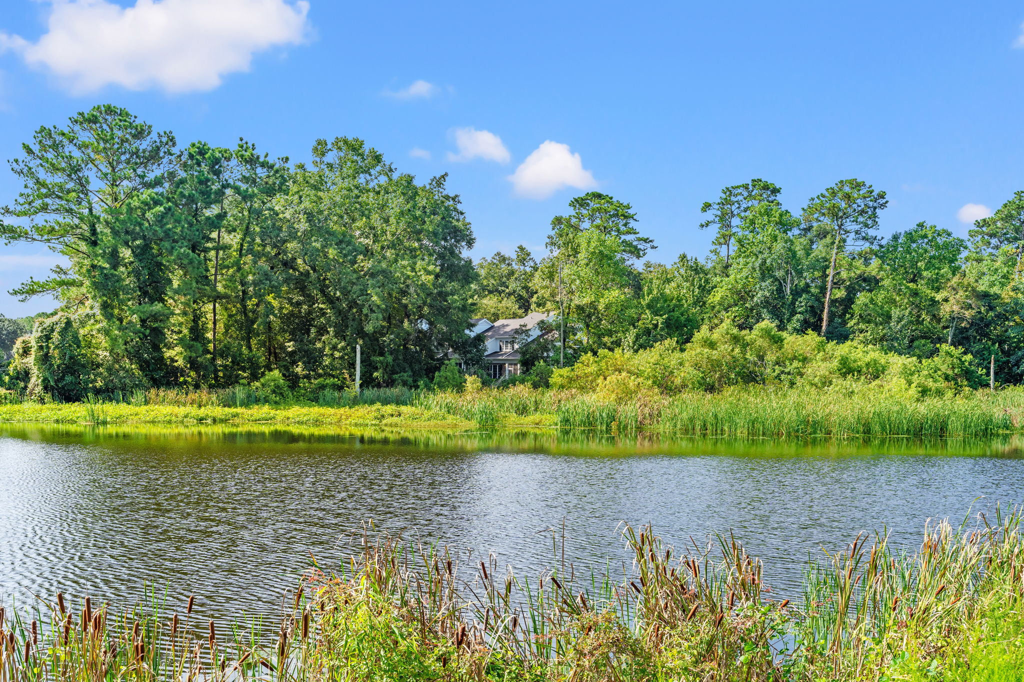 Pawleys Plantation (4)