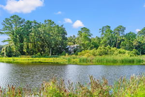 Pawleys Plantation (4)