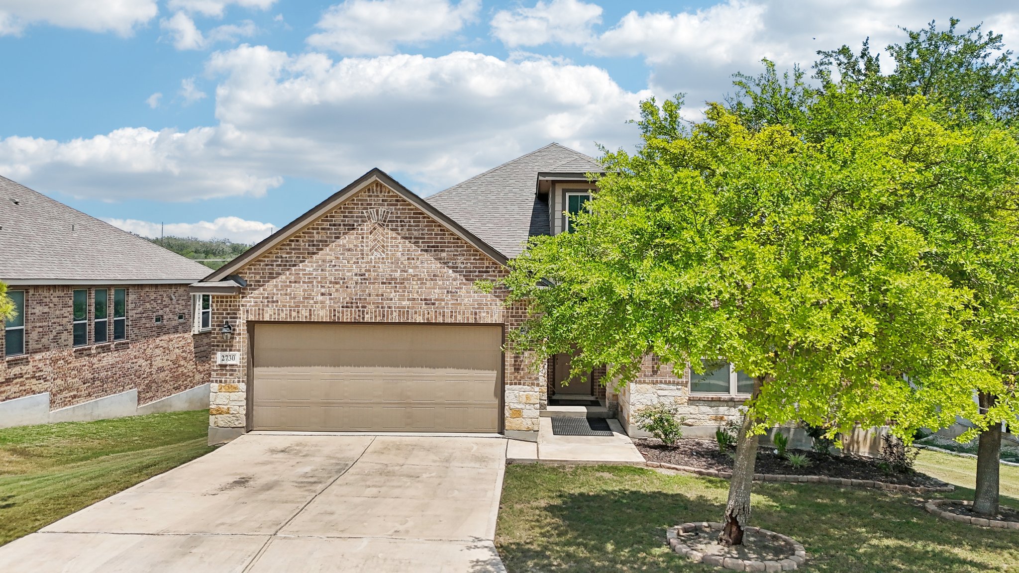 Tortuga Verde-2305-001.jpg