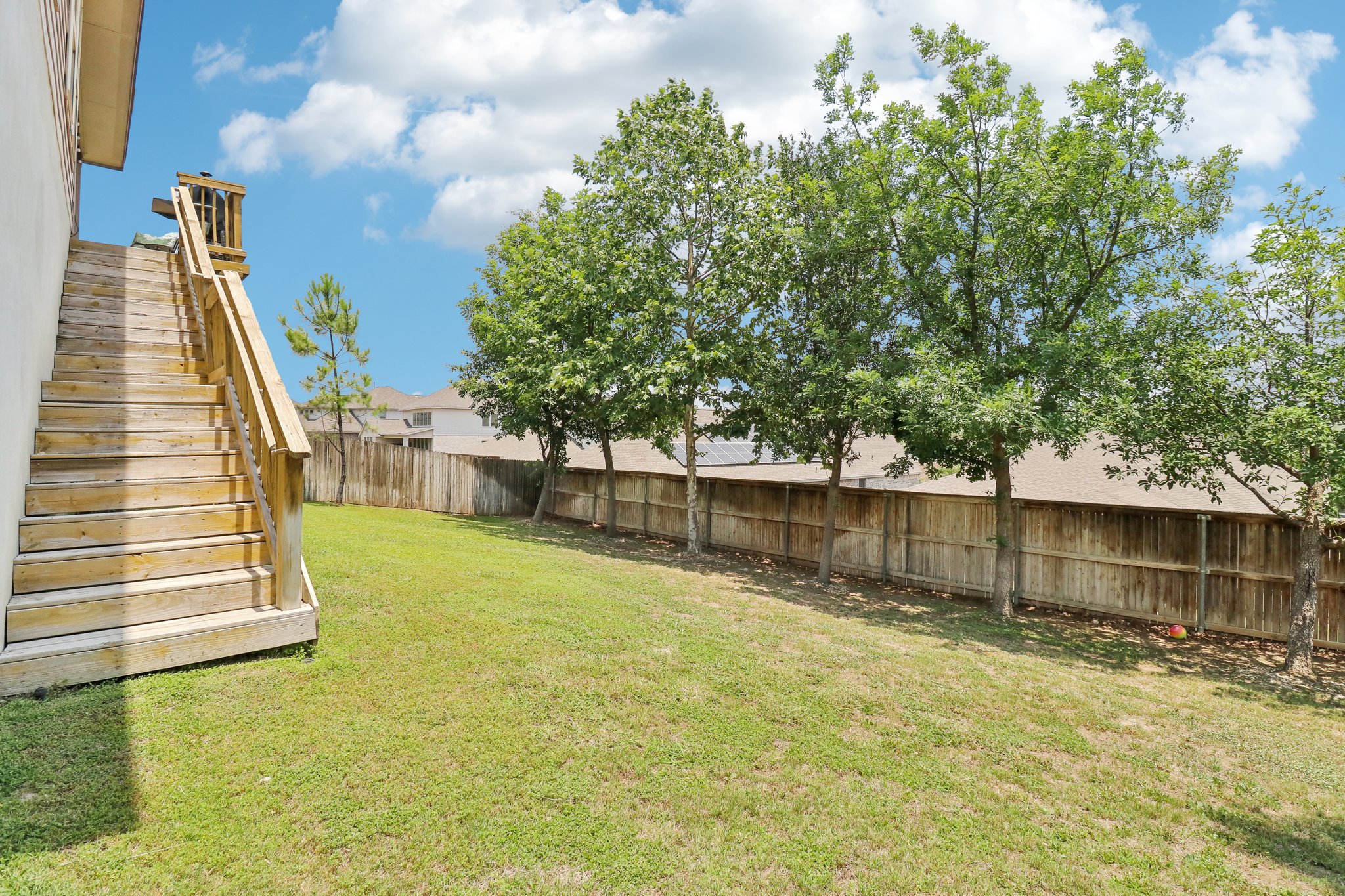 Tortuga Verde-2305-041.jpg