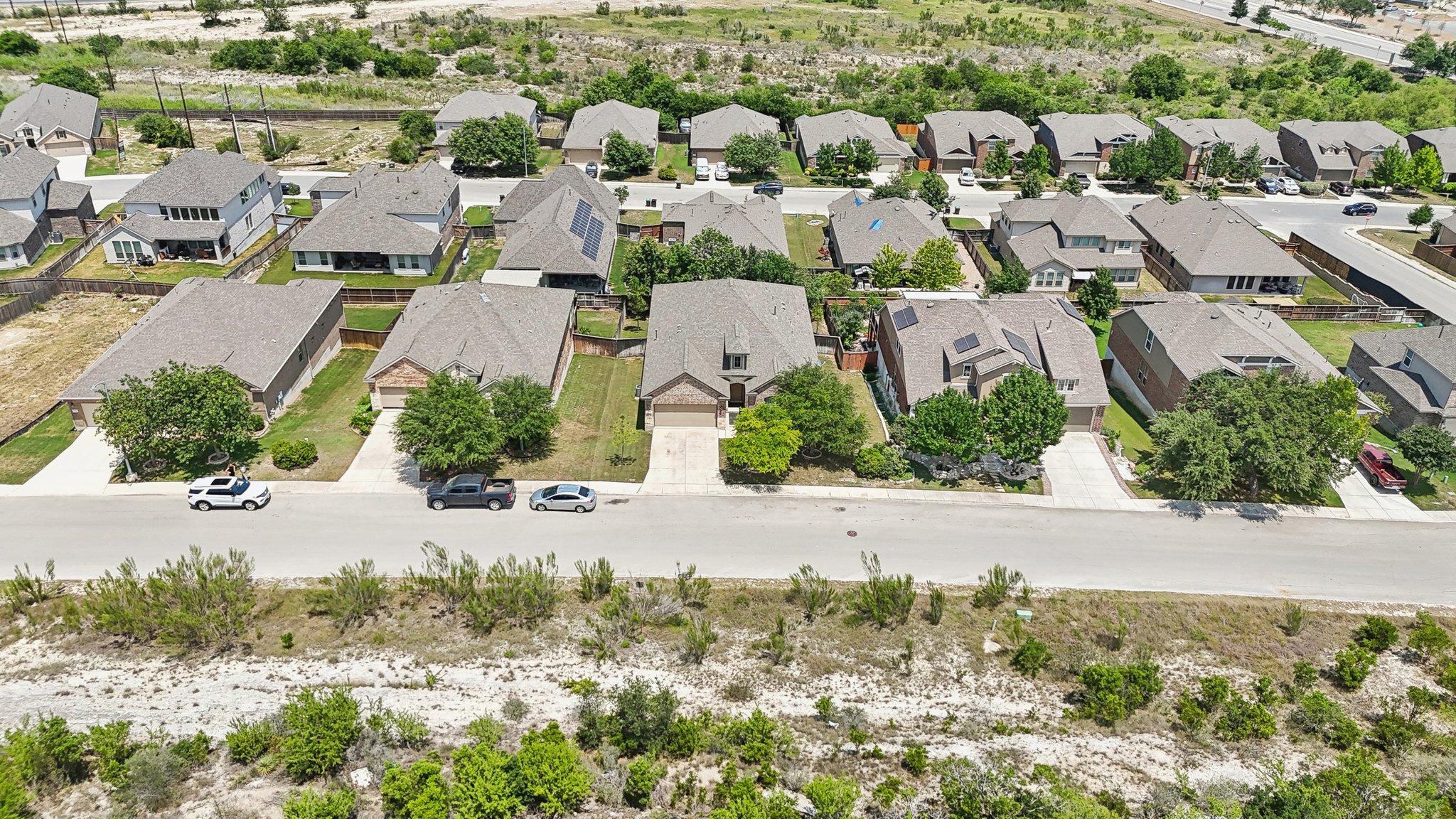 Tortuga Verde-2305-046.jpg