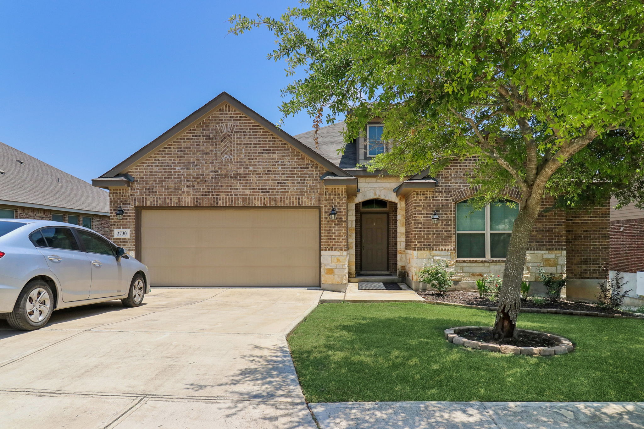 Tortuga Verde-2405-002