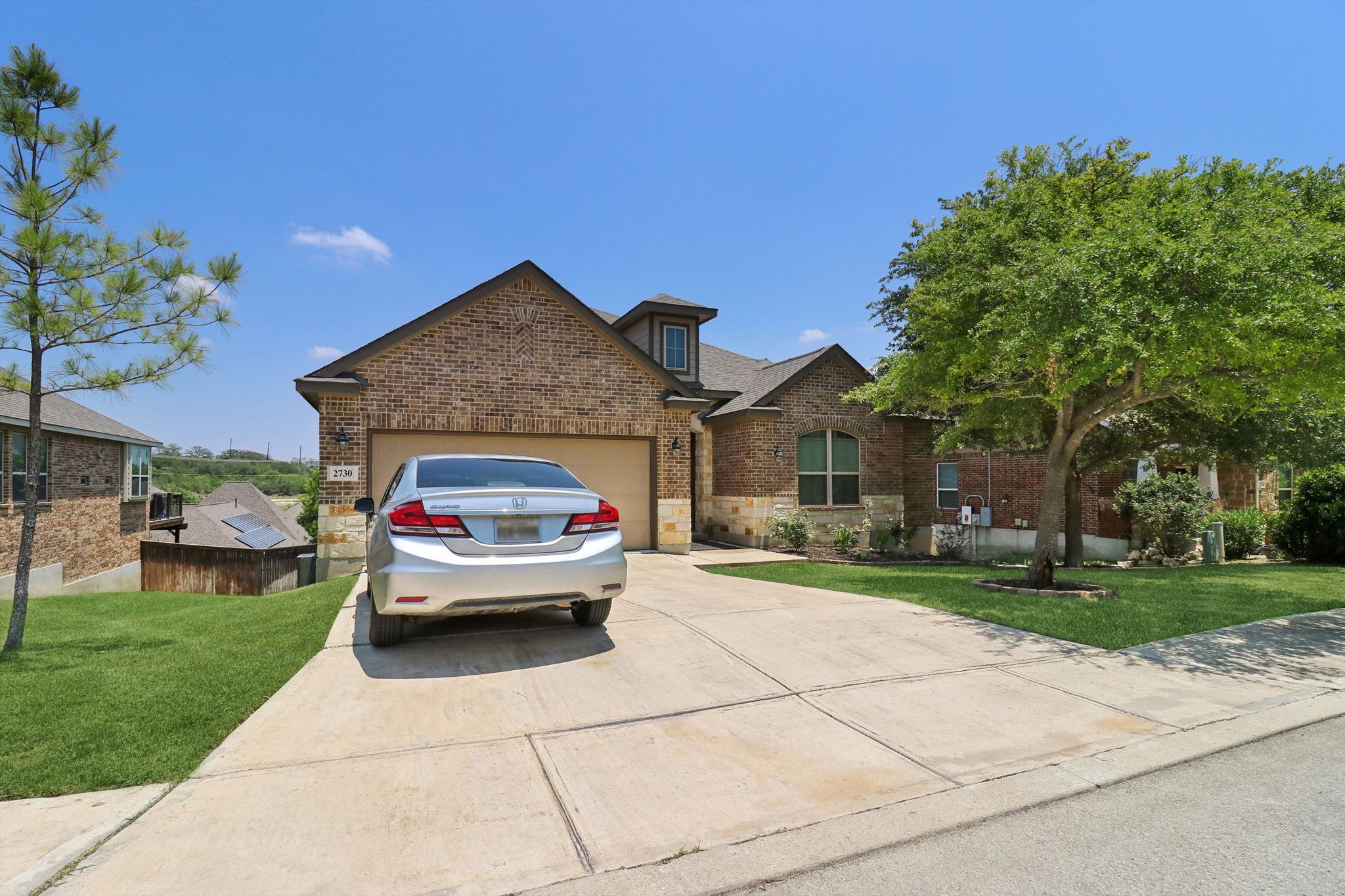 Tortuga Verde-2405-003