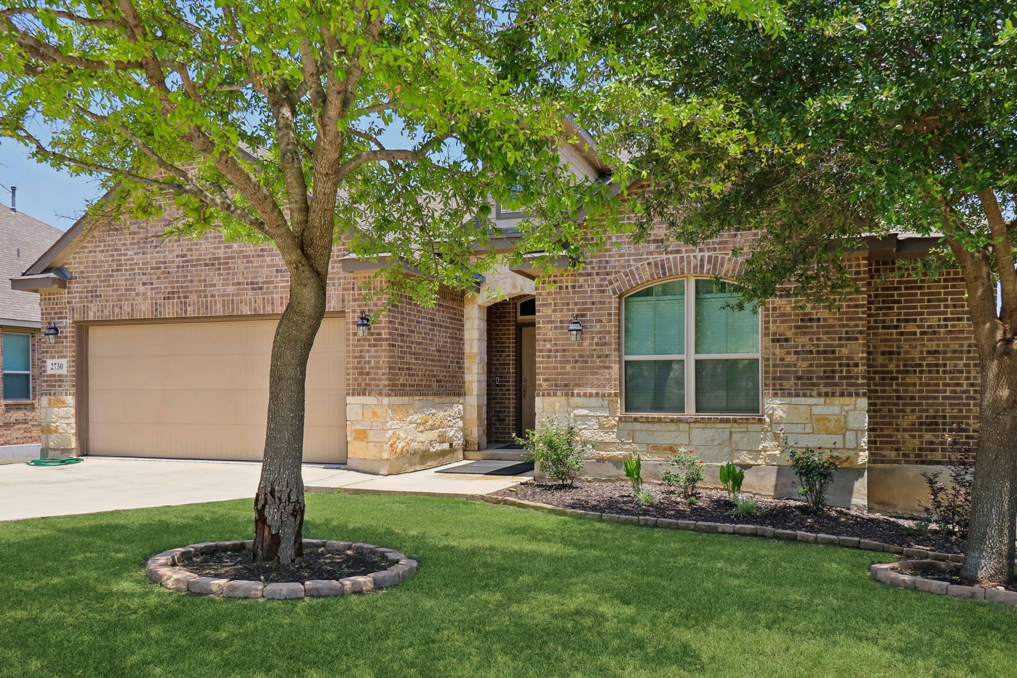 Tortuga Verde-2405-004