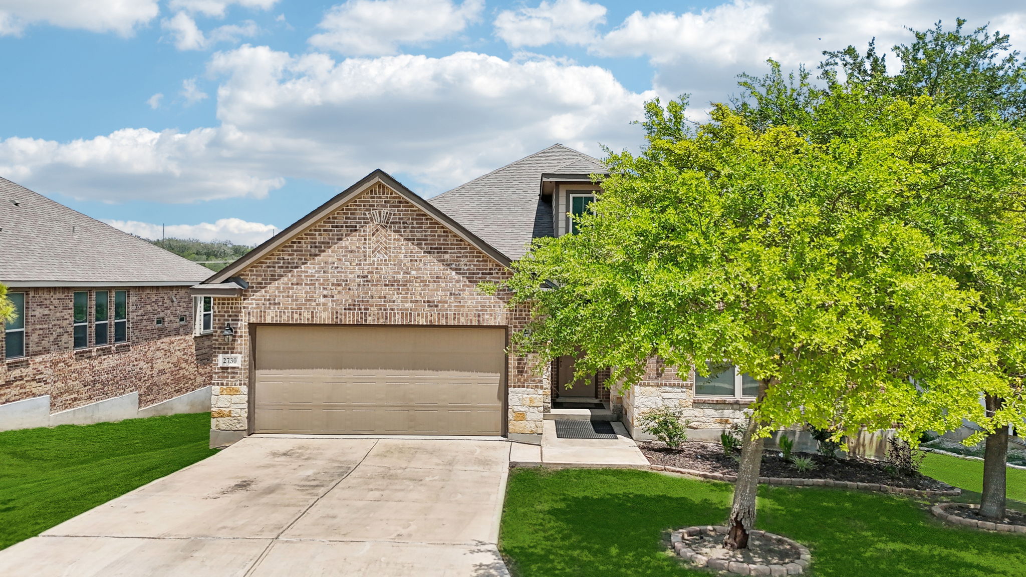 Tortuga Verde-2405-006