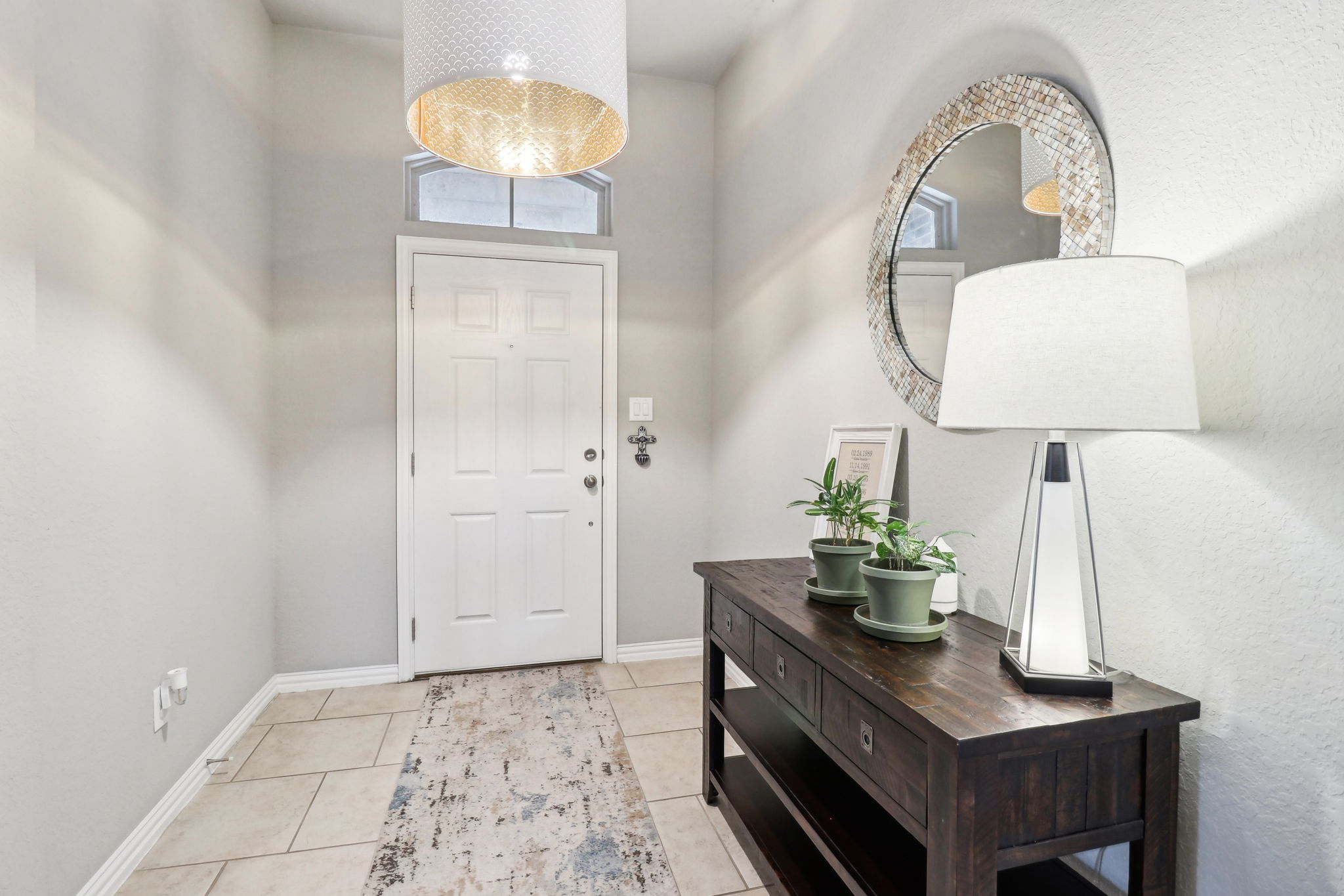 Tortuga Verde-2405-007