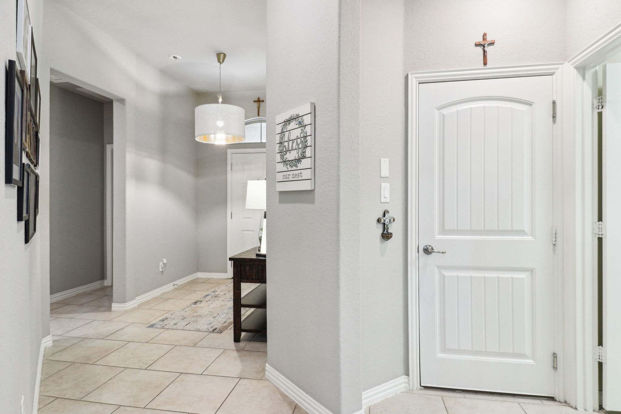 Tortuga Verde-2405-008