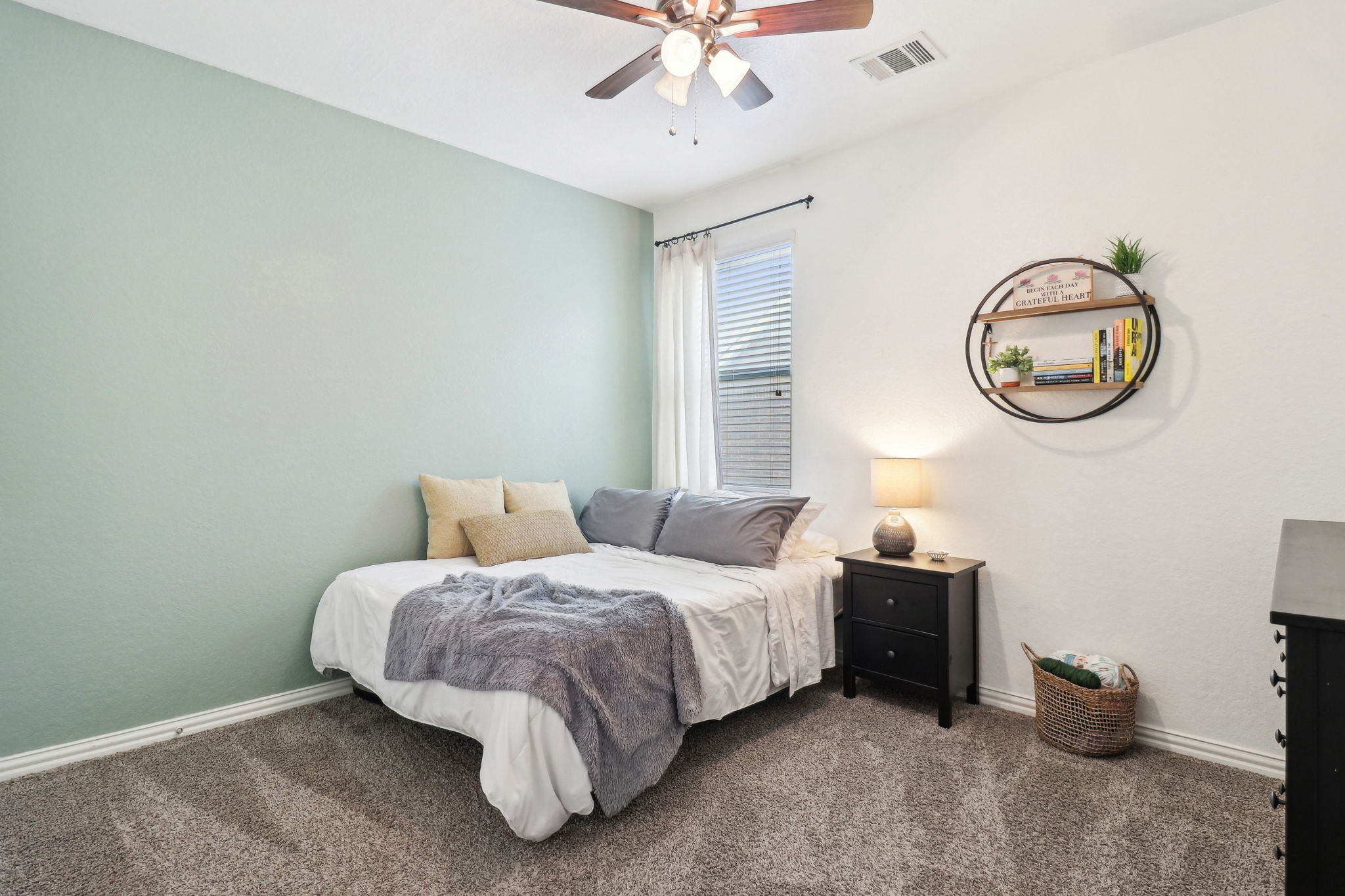 Tortuga Verde-2405-030