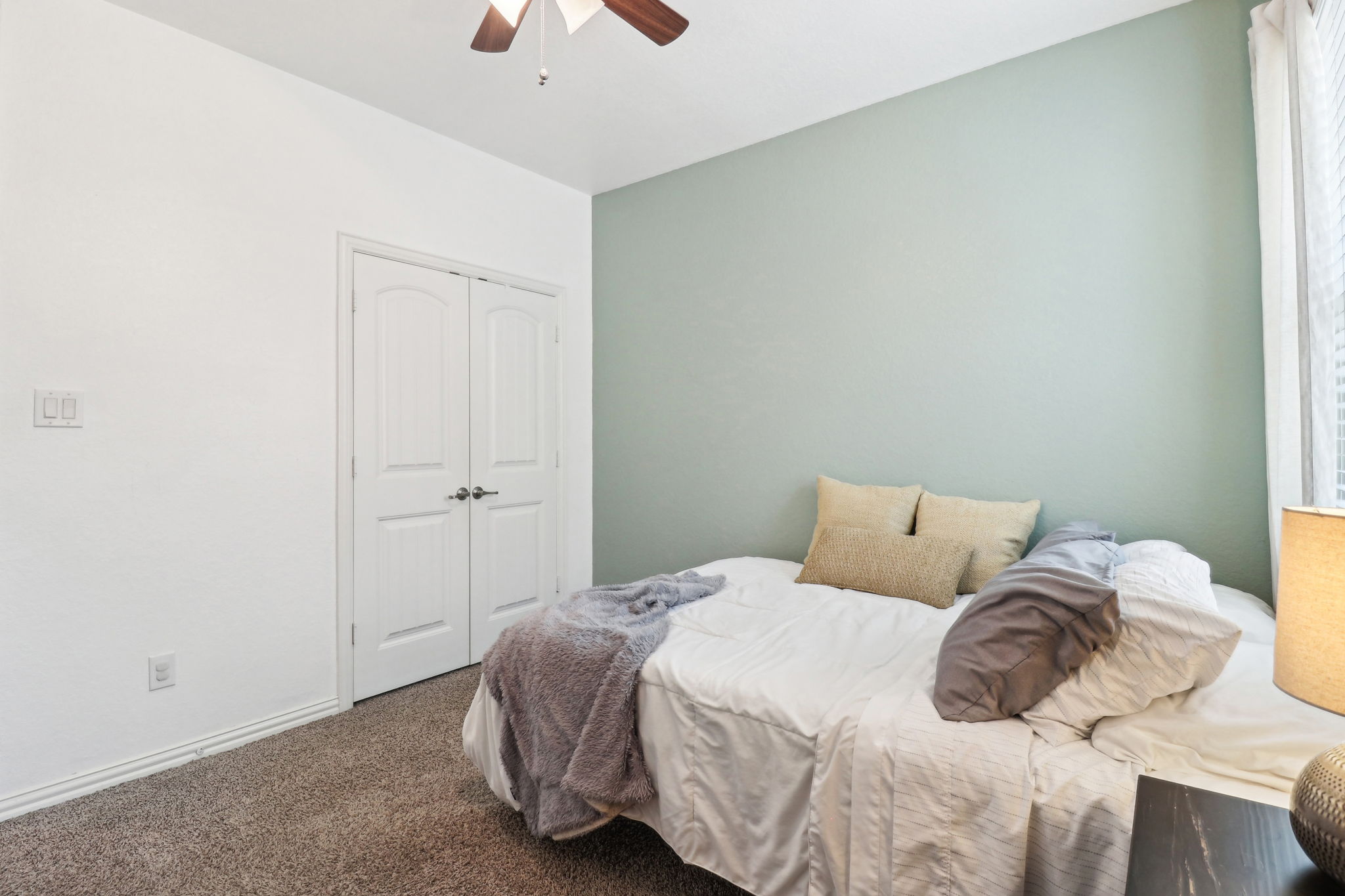 Tortuga Verde-2405-031