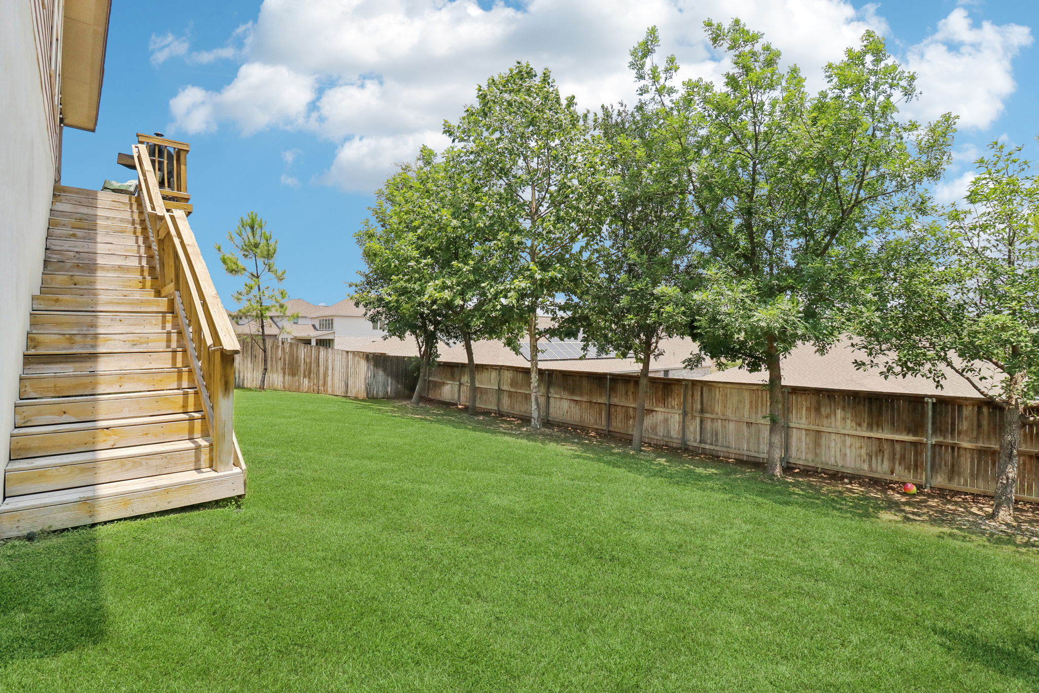 Tortuga Verde-2405-046