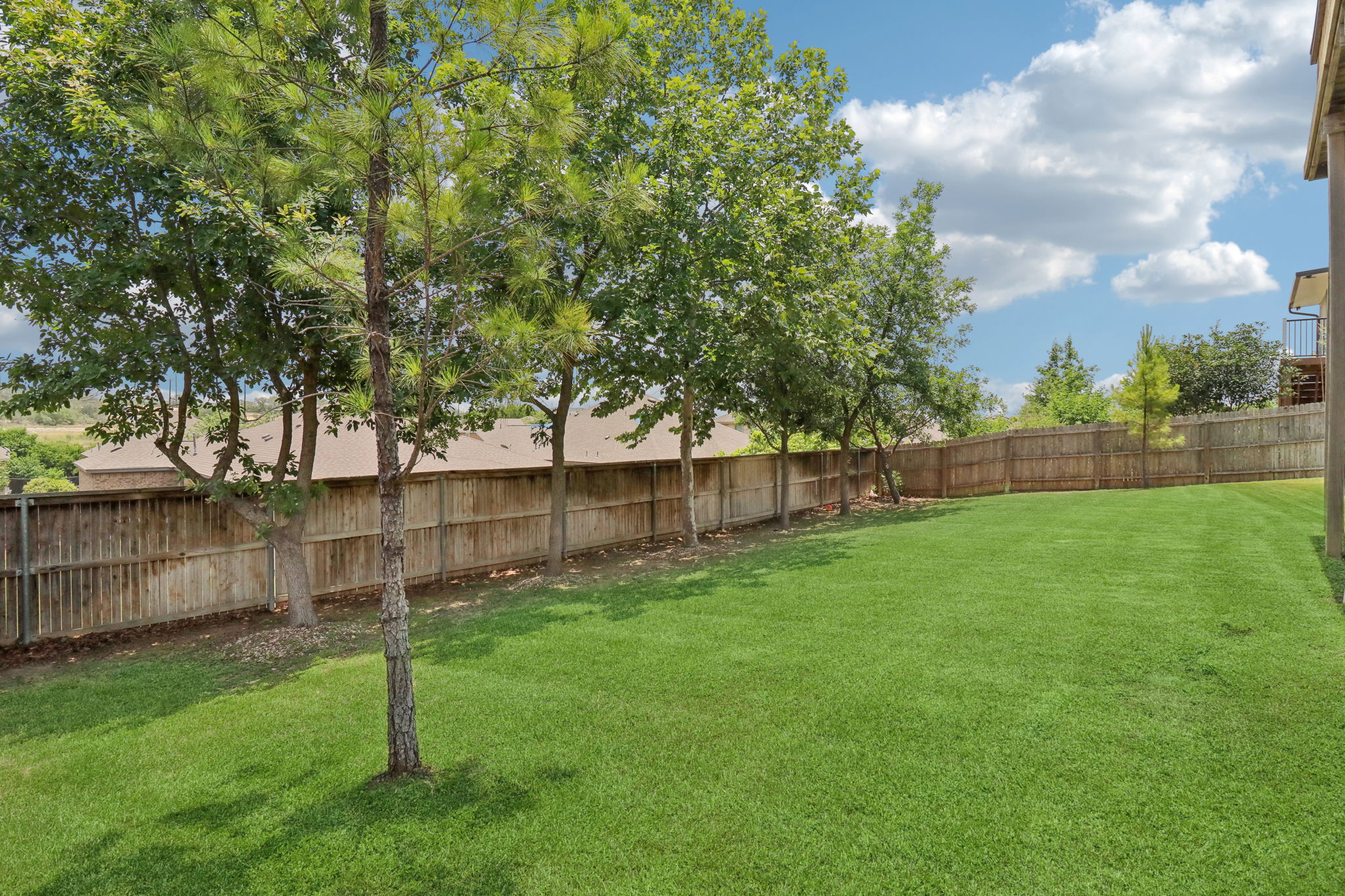 Tortuga Verde-2405-049