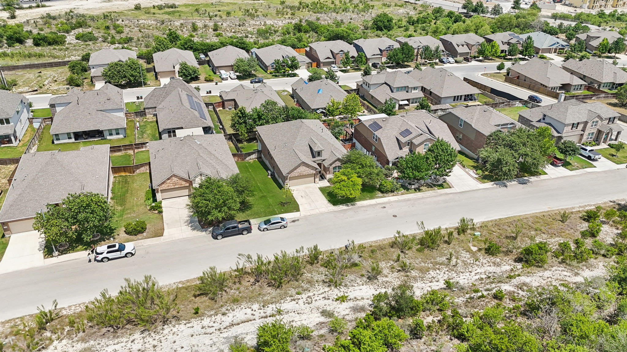 Tortuga Verde-2405-052