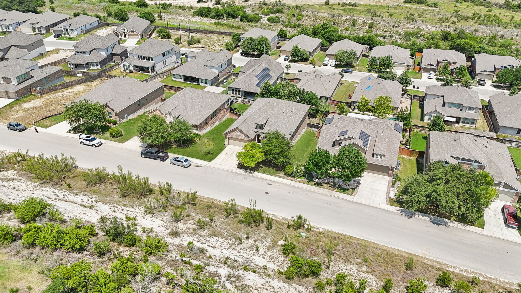 Tortuga Verde-2405-053