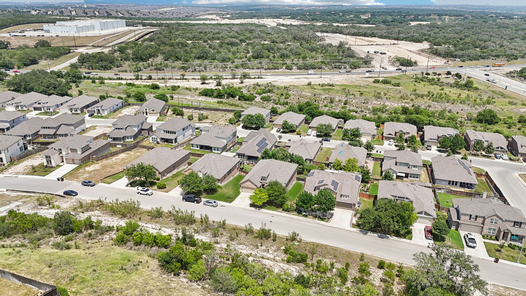 Tortuga Verde-2405-056