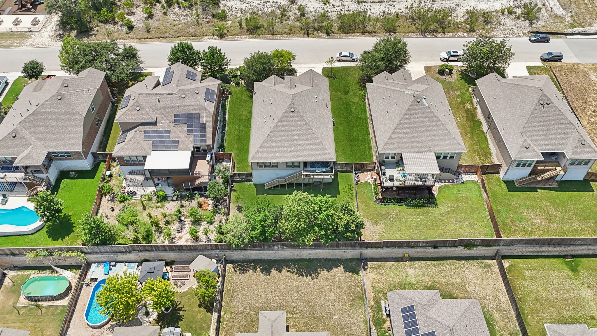 Tortuga Verde-2405-058