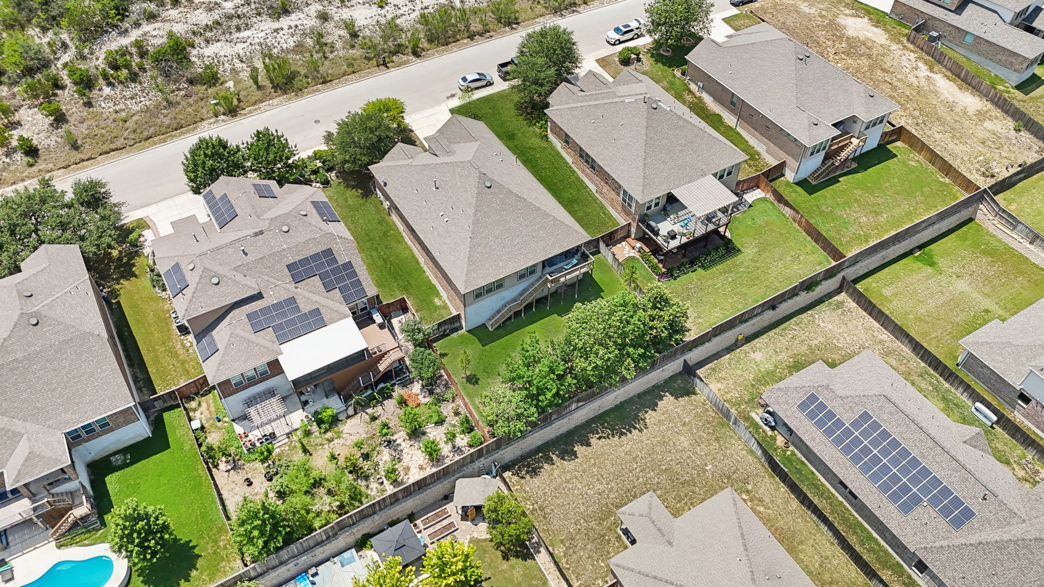 Tortuga Verde-2405-059