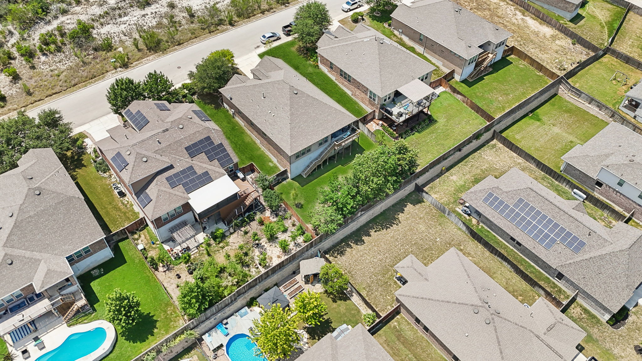 Tortuga Verde-2405-061