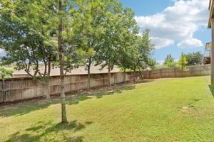 Tortuga Verde-2305-044.jpg