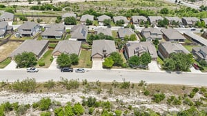 Tortuga Verde-2305-046.jpg