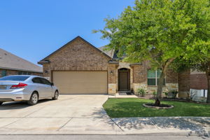 Tortuga Verde-2405-001