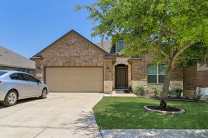 Tortuga Verde-2405-002