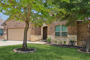 Tortuga Verde-2405-004