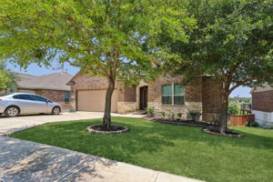 Tortuga Verde-2405-005