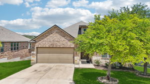 Tortuga Verde-2405-006