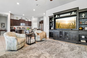 Tortuga Verde-2405-011