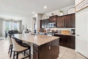 Tortuga Verde-2405-018