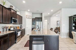 Tortuga Verde-2405-020