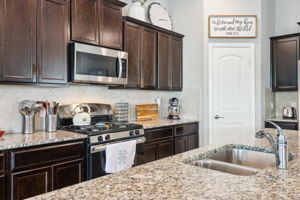 Tortuga Verde-2405-021