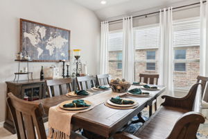 Tortuga Verde-2405-024