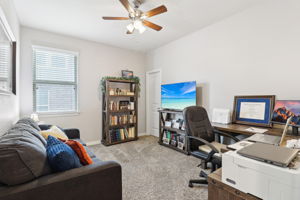 Tortuga Verde-2405-026