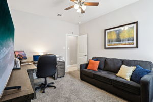 Tortuga Verde-2405-027