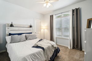 Tortuga Verde-2405-028