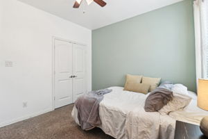 Tortuga Verde-2405-031