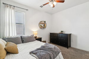 Tortuga Verde-2405-032