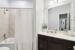 Tortuga Verde-2405-033