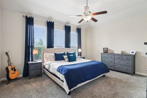 Tortuga Verde-2405-034