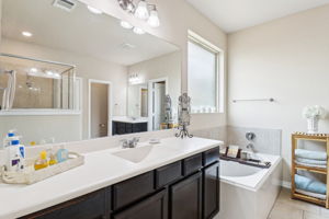 Tortuga Verde-2405-038