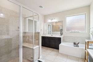 Tortuga Verde-2405-040