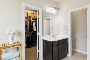 Tortuga Verde-2405-042