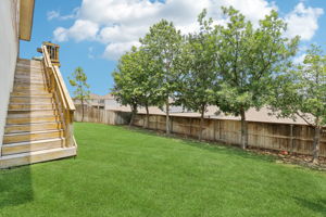 Tortuga Verde-2405-046