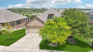 Tortuga Verde-2405-050