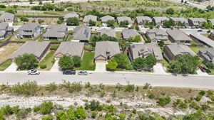 Tortuga Verde-2405-051