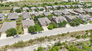 Tortuga Verde-2405-052