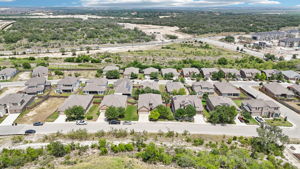 Tortuga Verde-2405-054