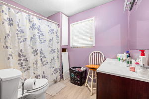 Image-19