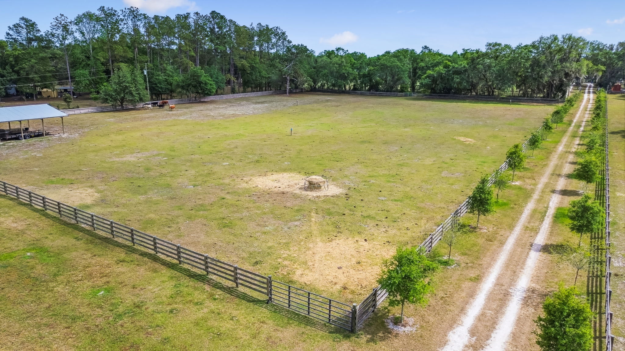 DJI_0935